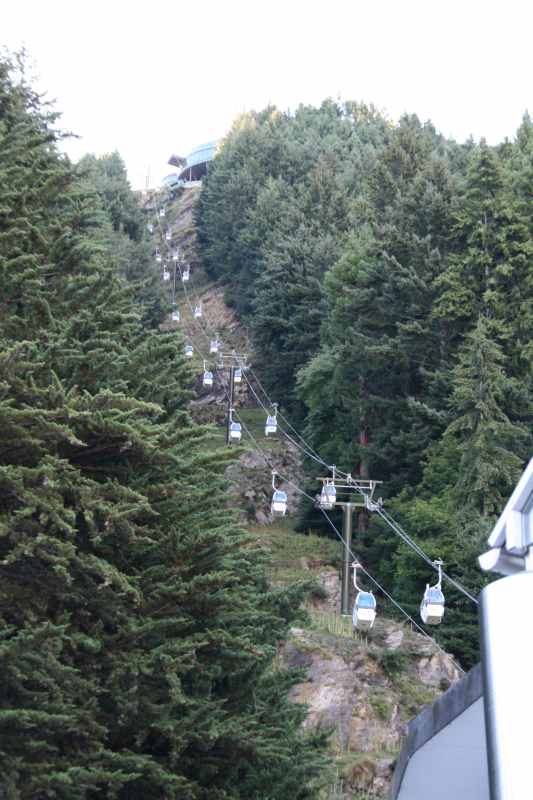 Nieuw-Zeeland 2011 - 1642